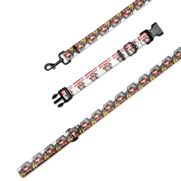 Sox Sentral Collar/Leash Combo product image (1)