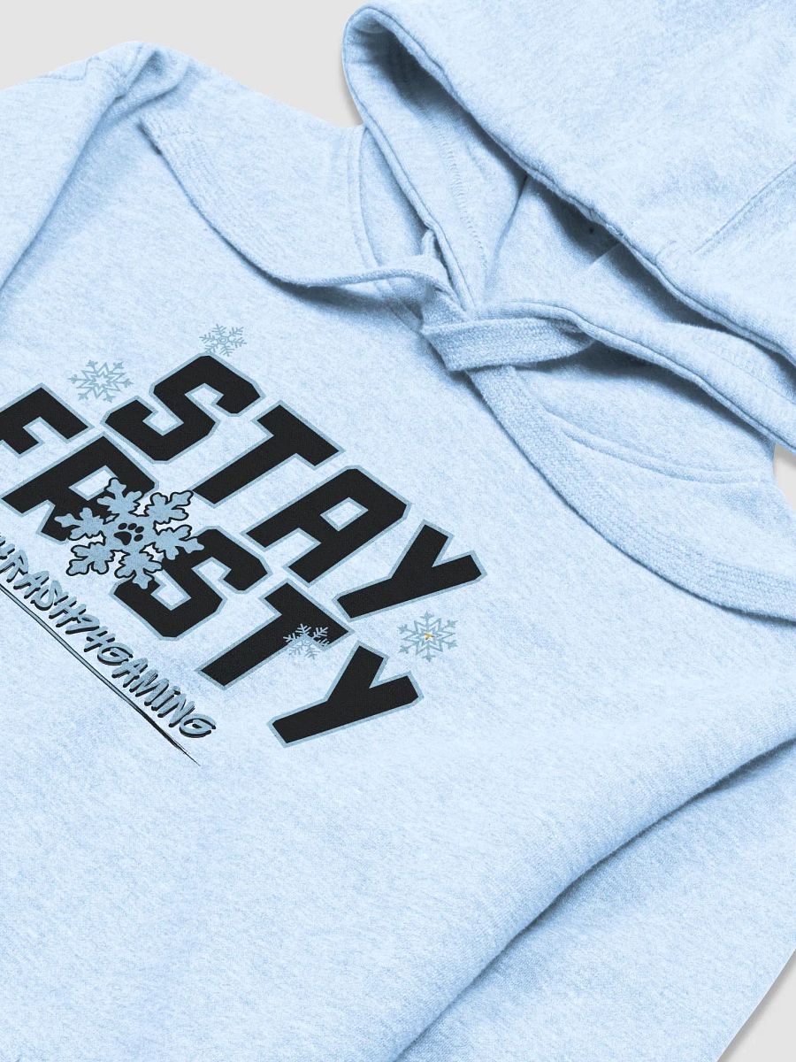 Stay Frosty Hoodie product image (3)