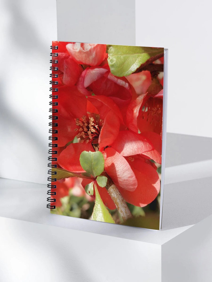 Chaenomeles × Superba Notebook, Red Flower Notebook, product image (4)