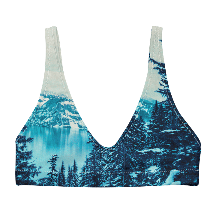Crater Lake Lomopurple Print Recycled Padded Bikini Top product image (1)
