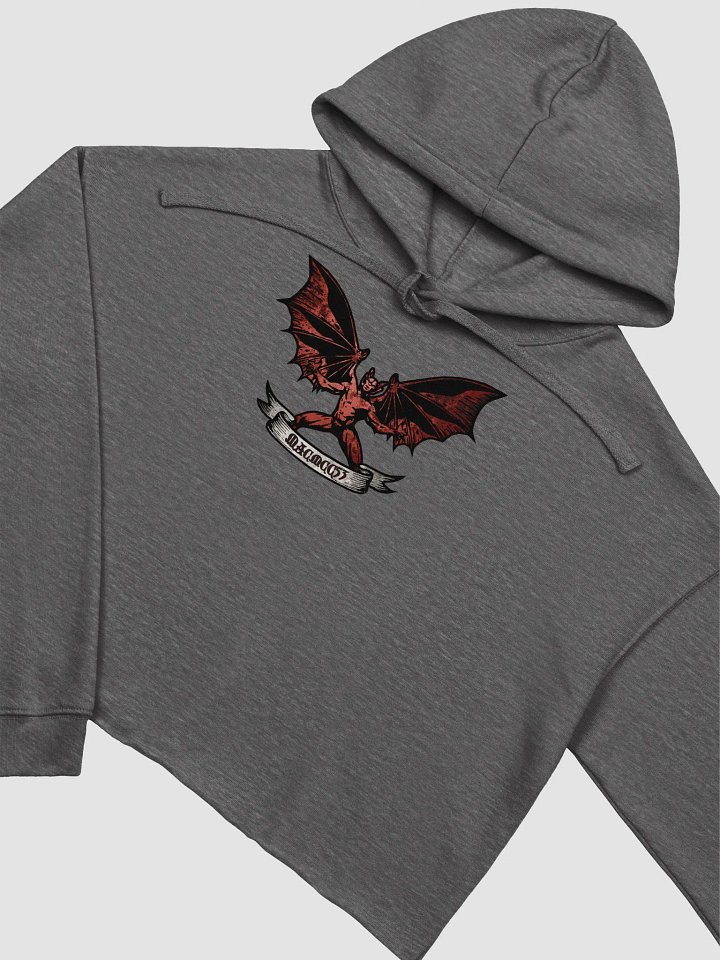 ReVamp Logo CropTop Hoodie product image (4)