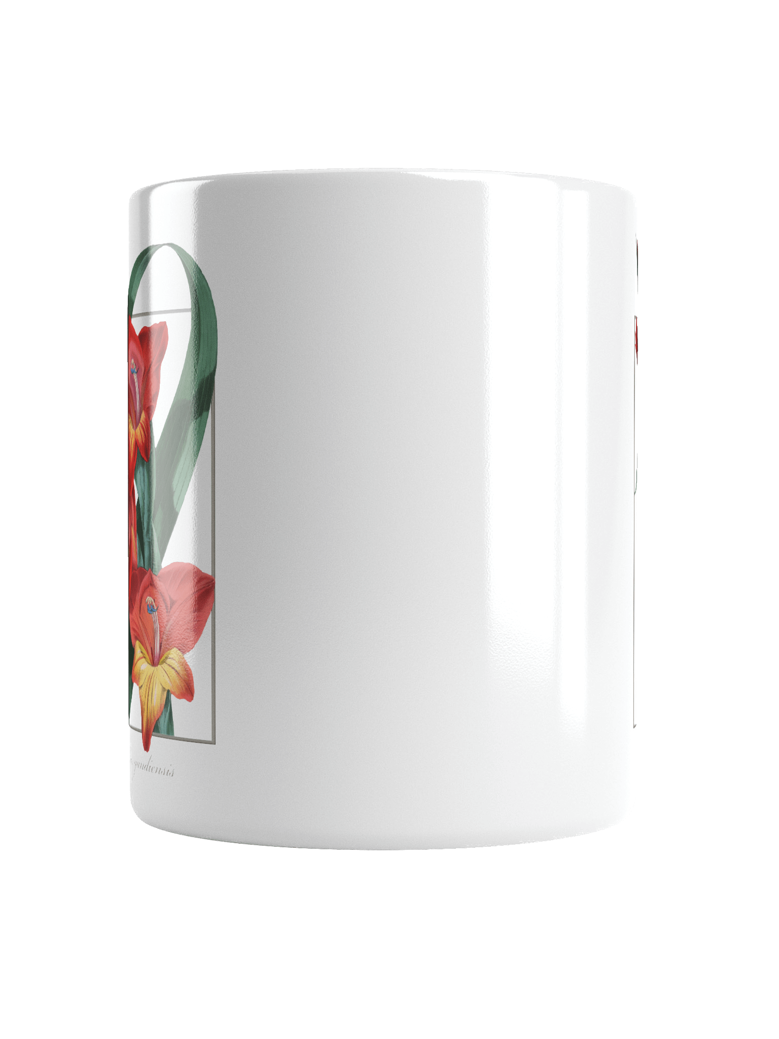 Gladiolus Gandiensis Ceramic Mug product image (6)