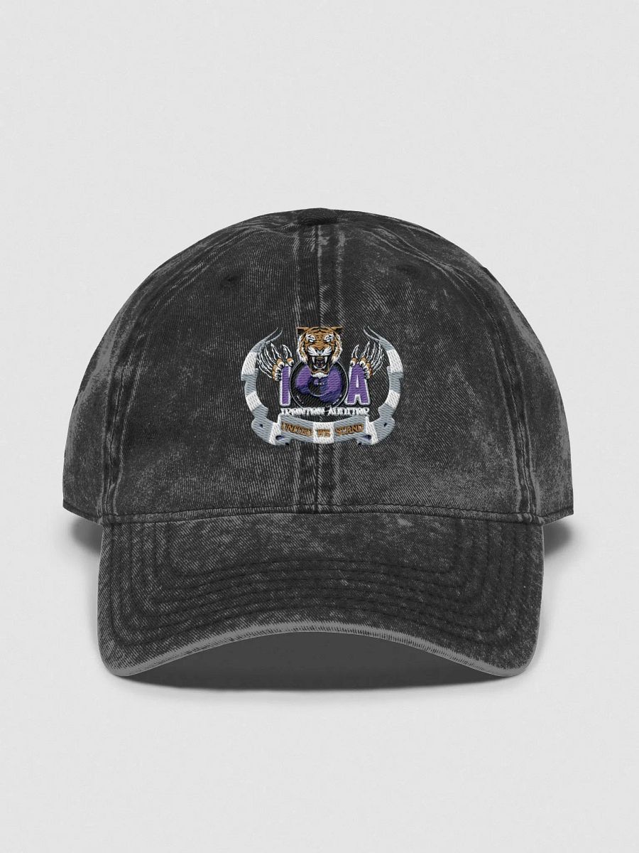 Ironton Auditor Hat product image (1)