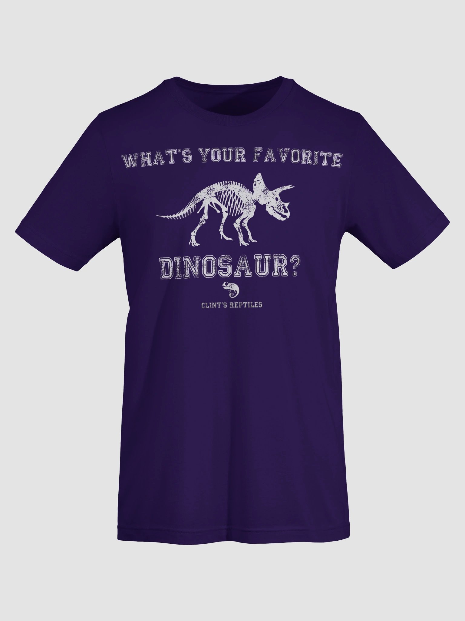 What's Your Favorite Dinosaur? Triceratops Shirt product image (76)