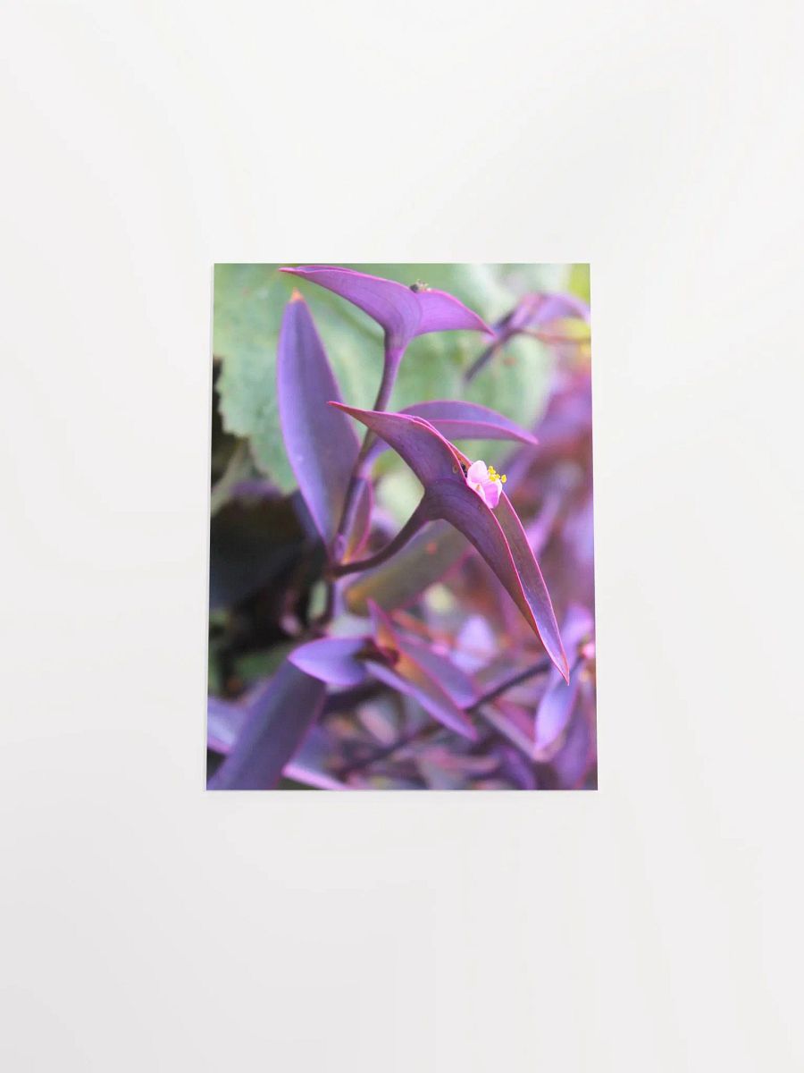A Study in Flowers 9 product image (4)