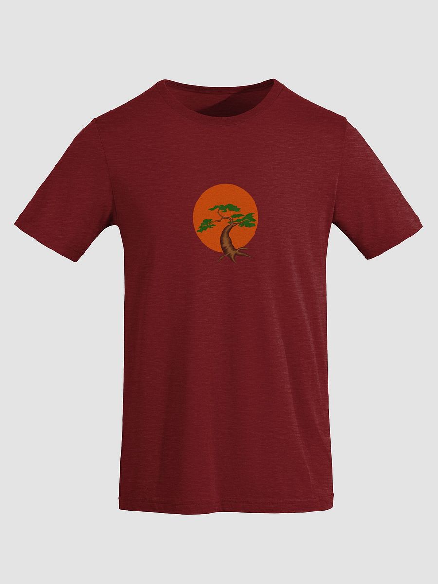 Sunlit Tree Triblend Tee product image (3)