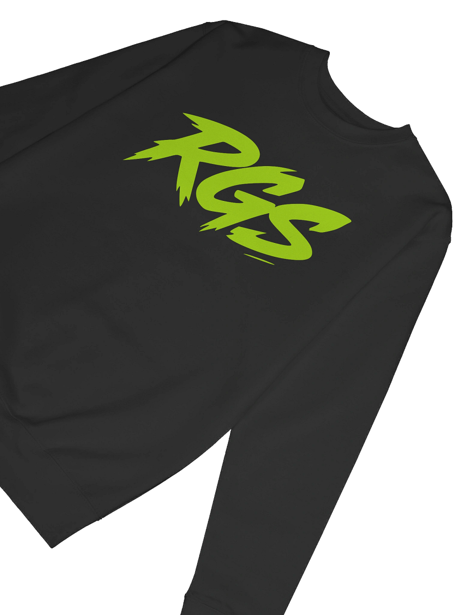 RGS Gamer Sweatshirt – Indie Spirit Pullover product image (6)