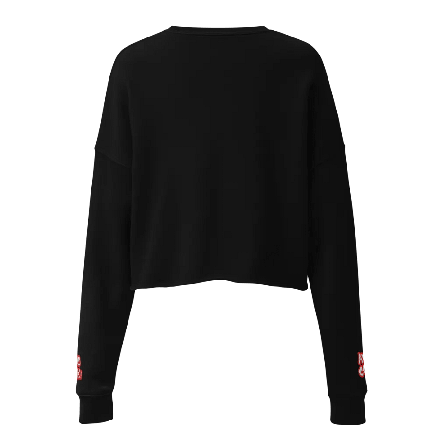 TCS Crop SweatShirt product image (4)
