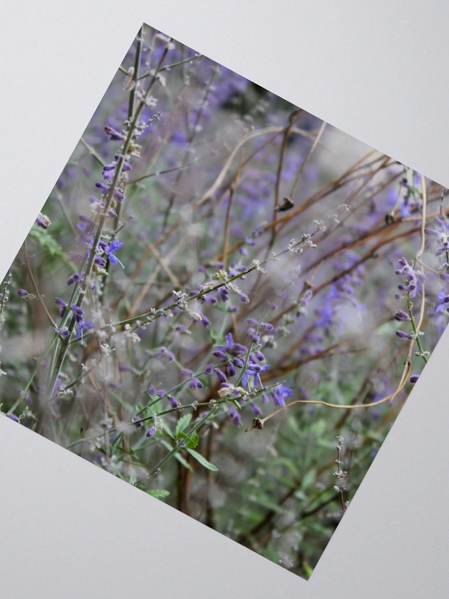 A Study in Flowers 14 - sticker version product image (5)