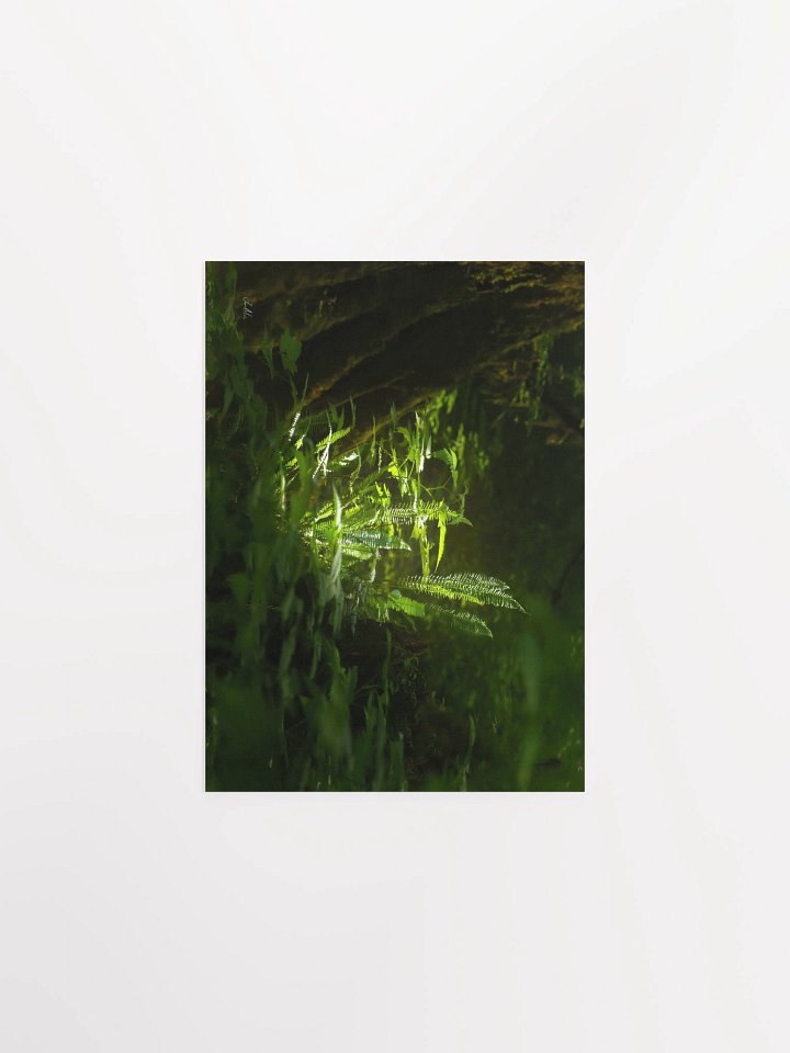 A little shot of sunshine in the wood's Matte Poster product image (2)