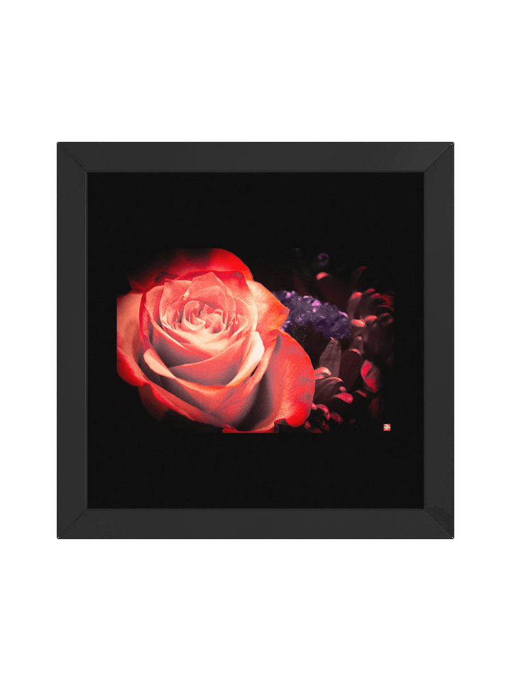 PETALS BURN product image (2)