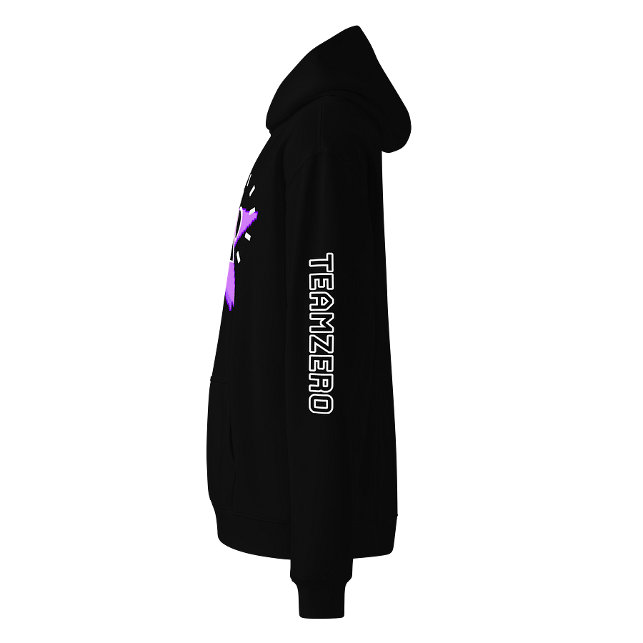 TeamZero NEW Logo Hoodie product image (8)