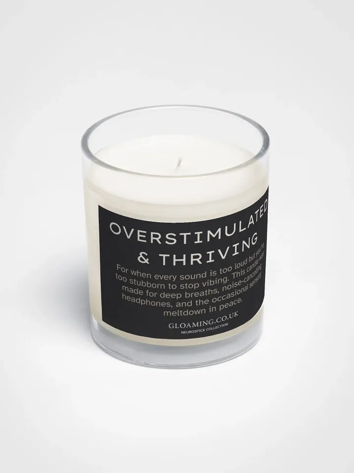 Neurospice: Overstimulated & Thriving product image (2)