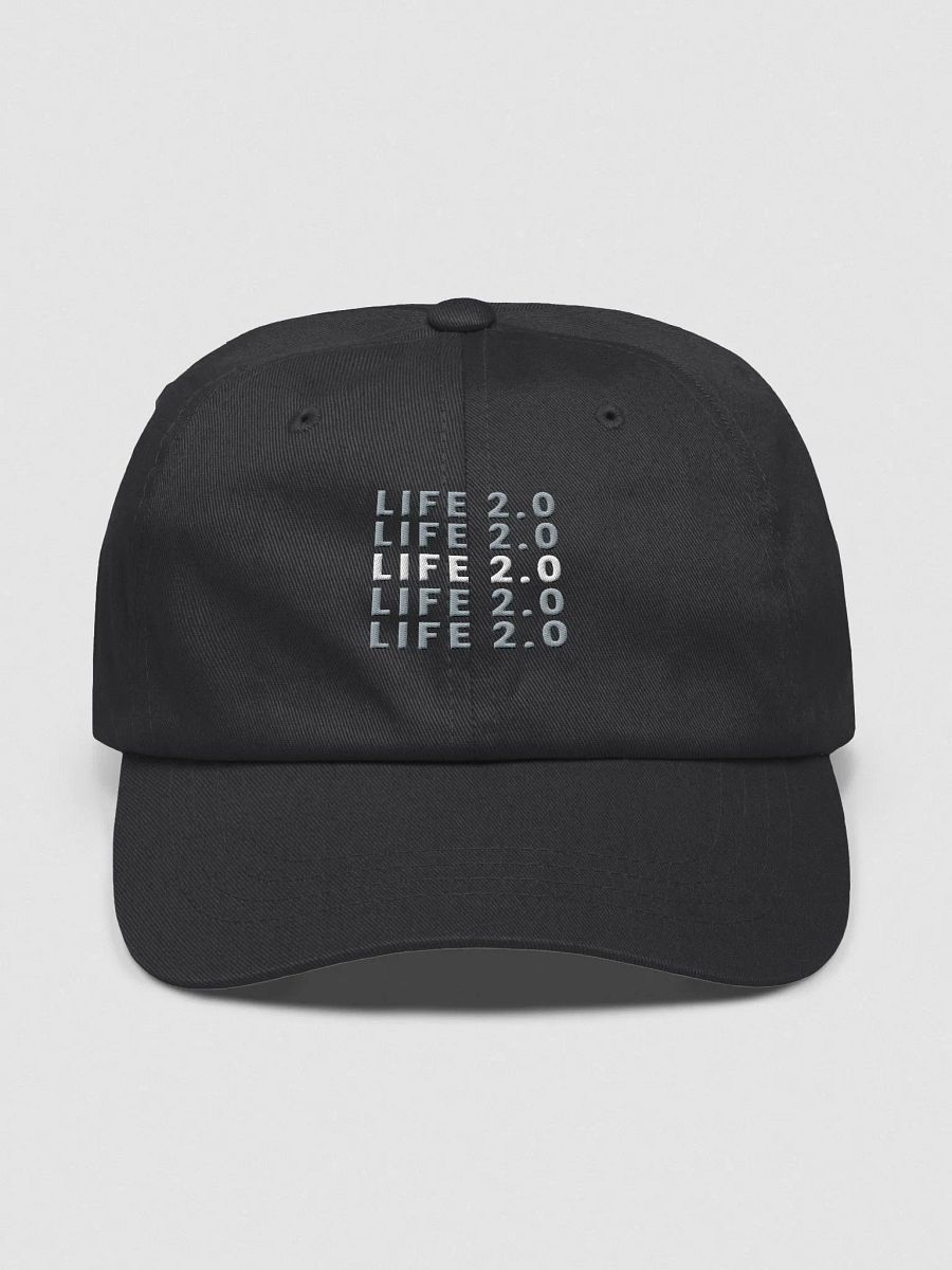 Life 2.0 Hat product image (1)
