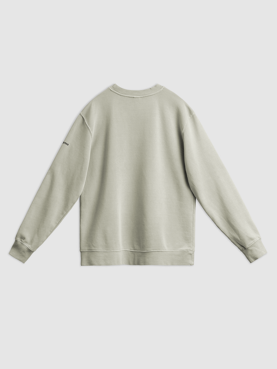 Cement sweatshirt - sleeve logo product image (3)
