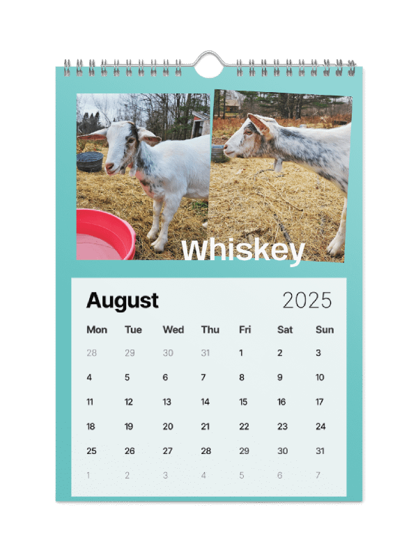 BrowncoatGoat Barn's Goats of 2025 product image (9)