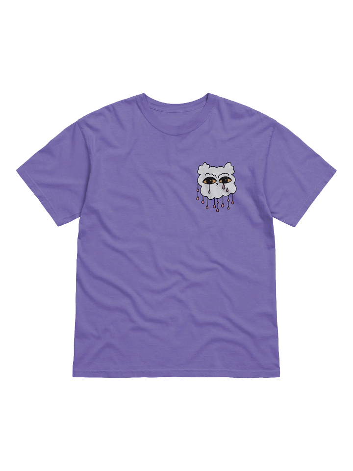 WLS T-shirt with print 'Blessed' product image (1)