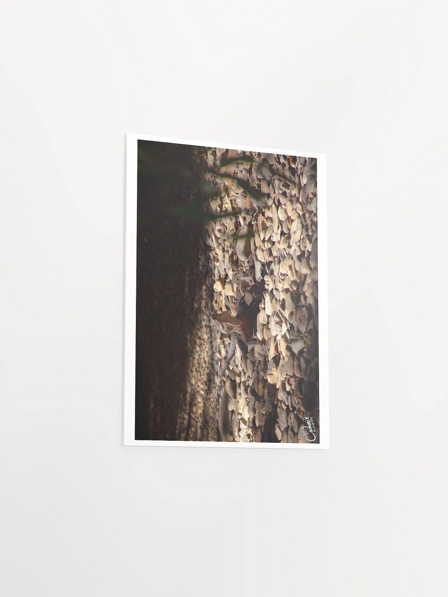 The Lizard King - Print product image (3)