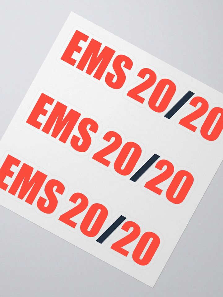 EMS 20/20 Stickers - Set of 3 product image (2)