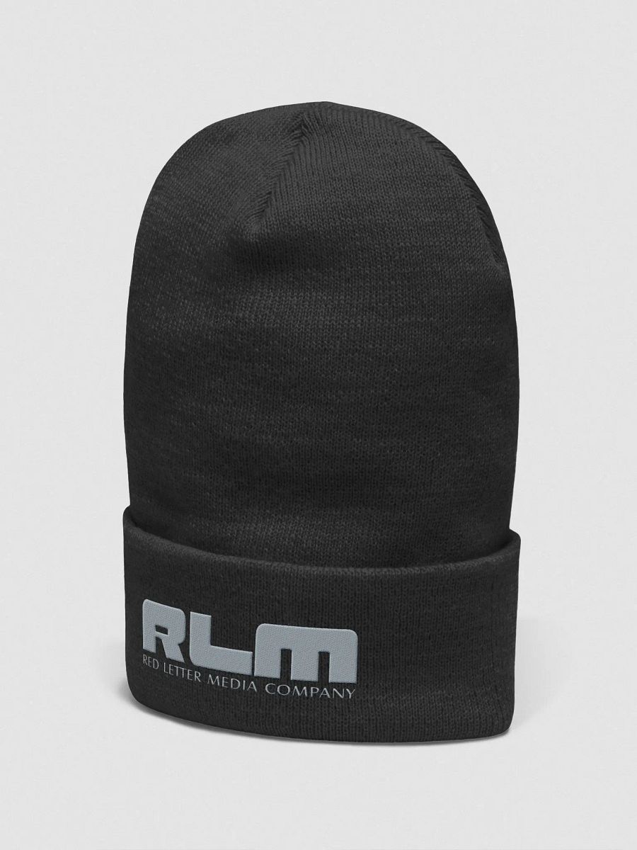 RLM Delorian Logo Hat product image (8)