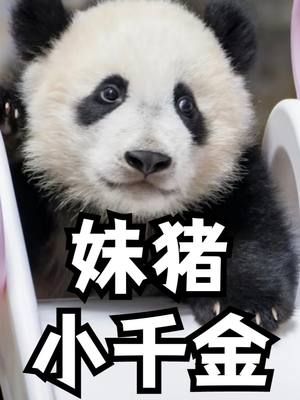 妹猪含着叉烧包出生千金，把广府人讲究刻进骨子里