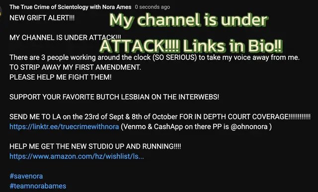 3 people are trying to take down my channel. Help your favorite butch lesbian on the interwebs!! #lesbiantok #butch #help 