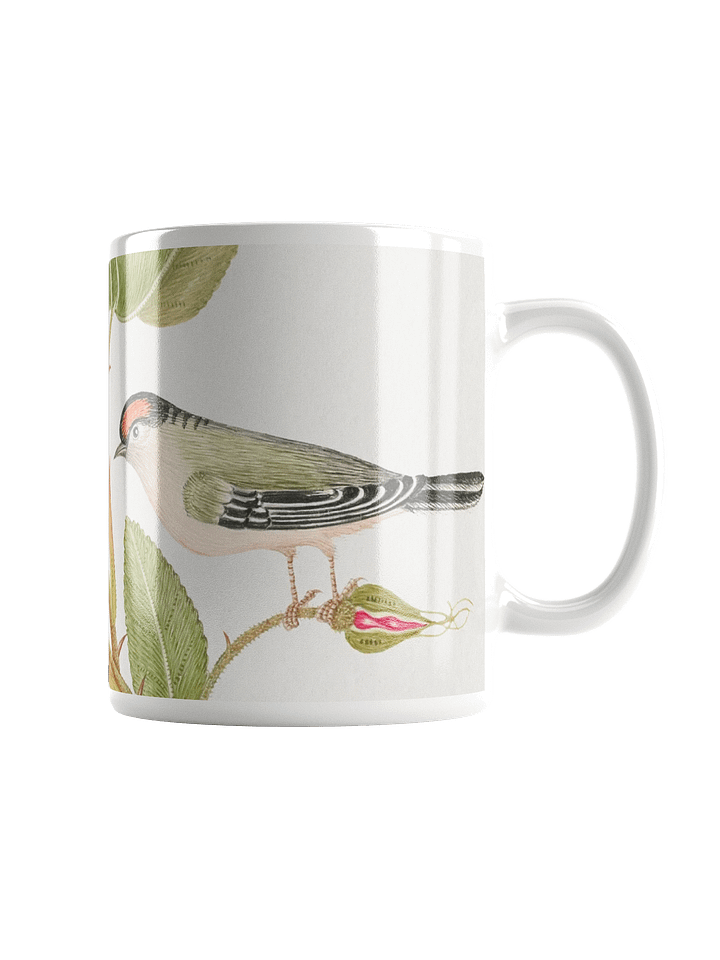 Rose Garden Serenade Mug product image (1)