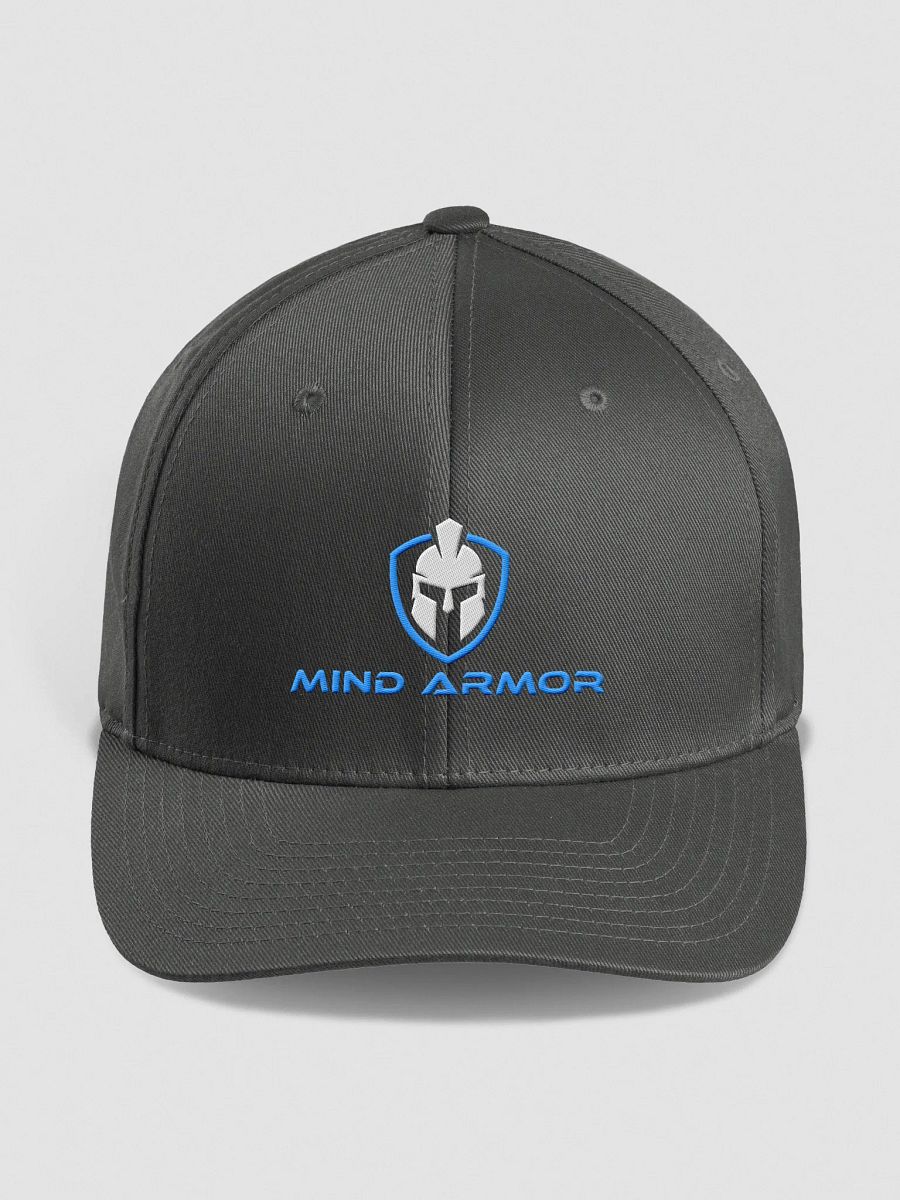 Mind Armor Hat - Fitted product image (8)