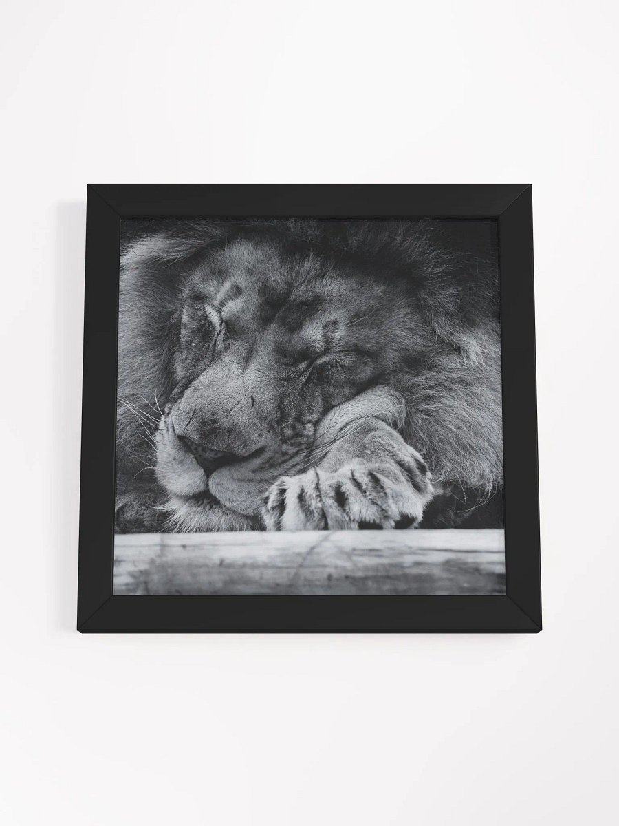 The Sleeping King product image (32)