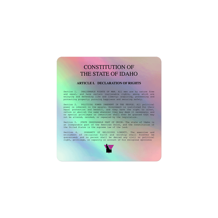 "DECLARATION OF RIGHTS" light holo sticker product image (1)