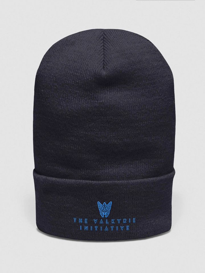 Beanie w/ Blue Logo product image (4)