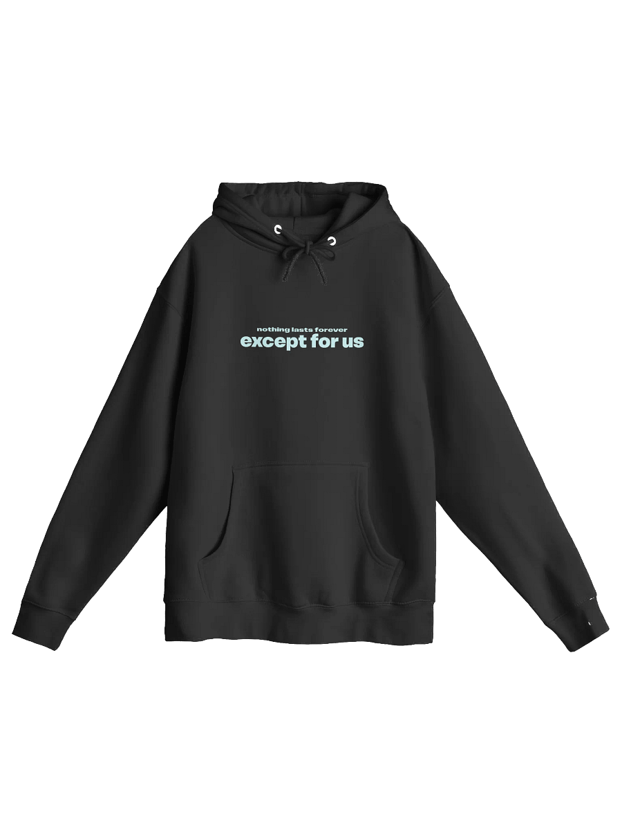Except For Us Hoodie product image (1)