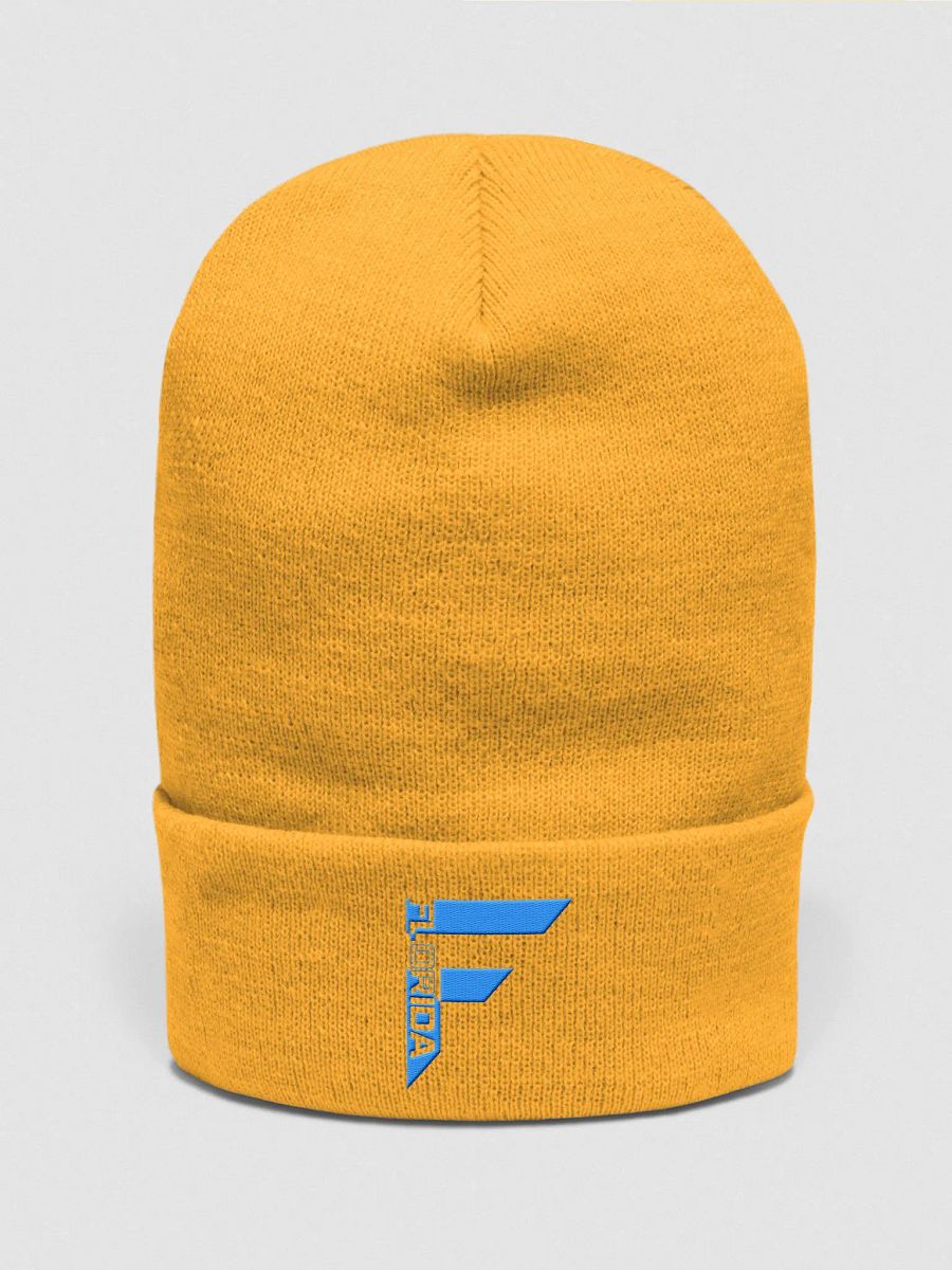 Yupoong Cuffed Beanie - Florida product image (1)