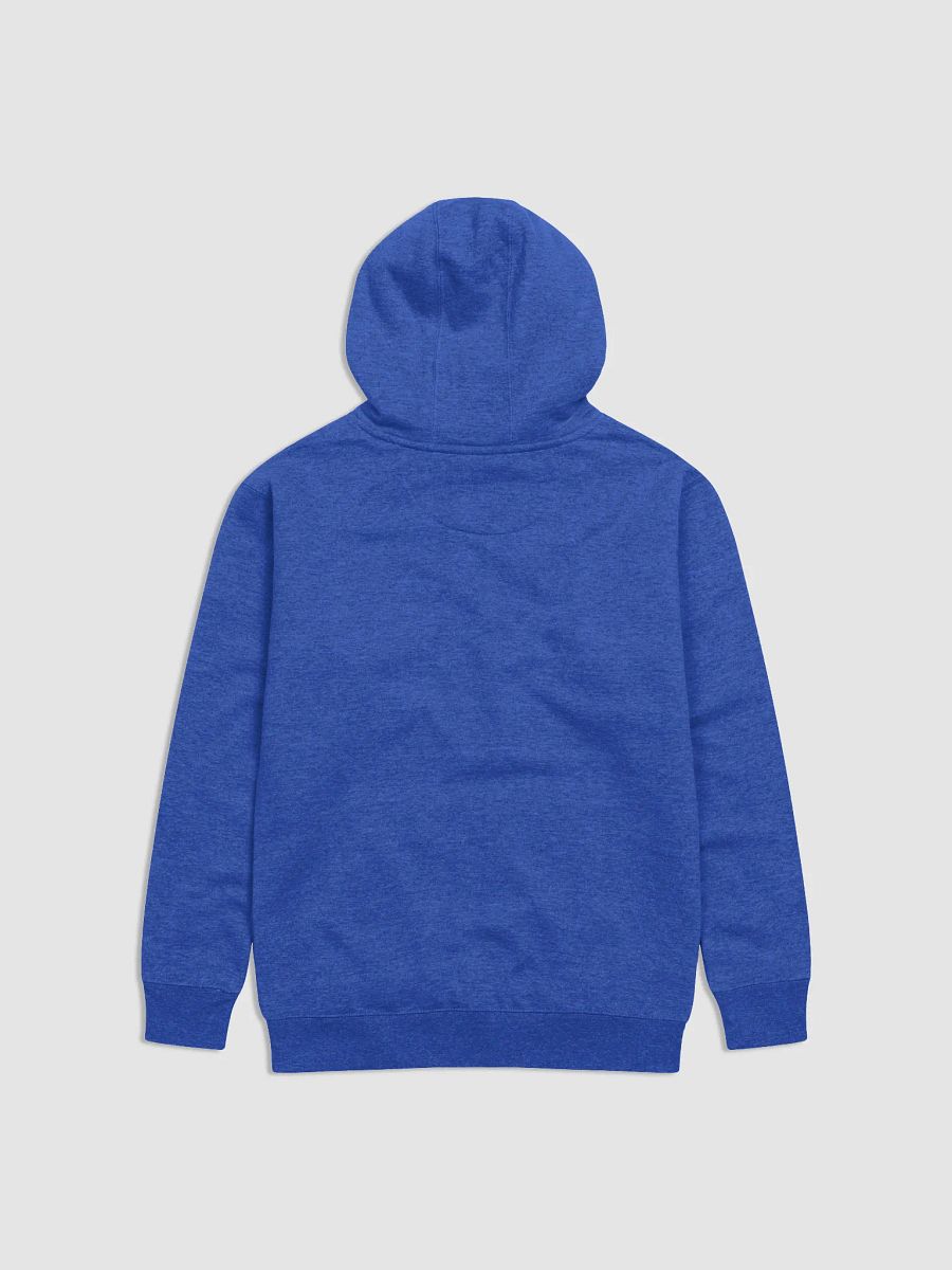 Prominent Merch Preminum Hoodie product image (10)