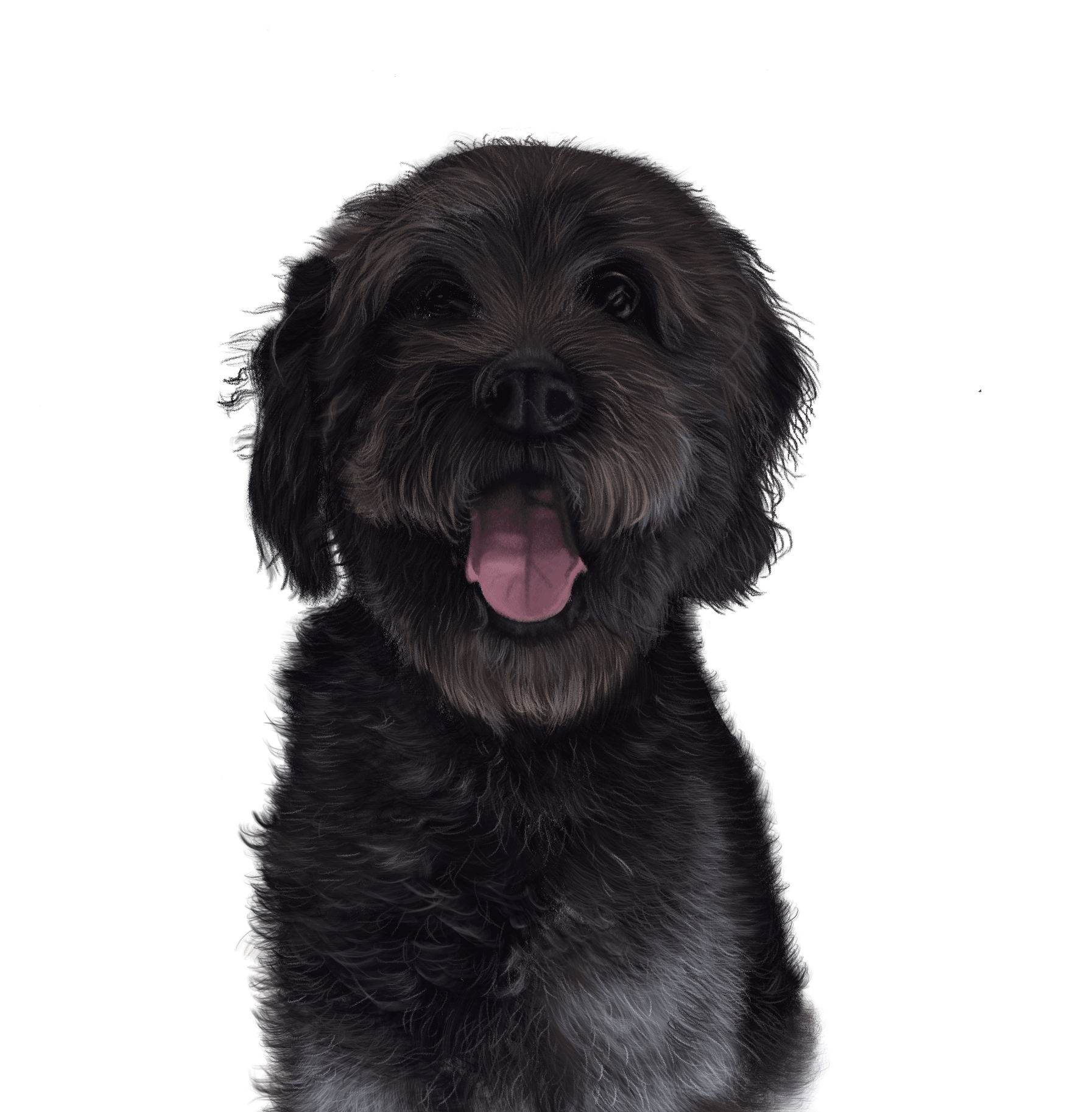 Digital file: Oreo the Labradoodle product image (1)
