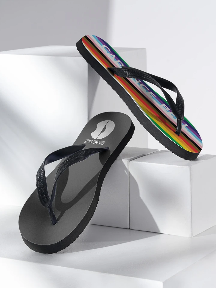 Pride Thongs: The All of It Collector's Edition (Flip Flops) product image (2)
