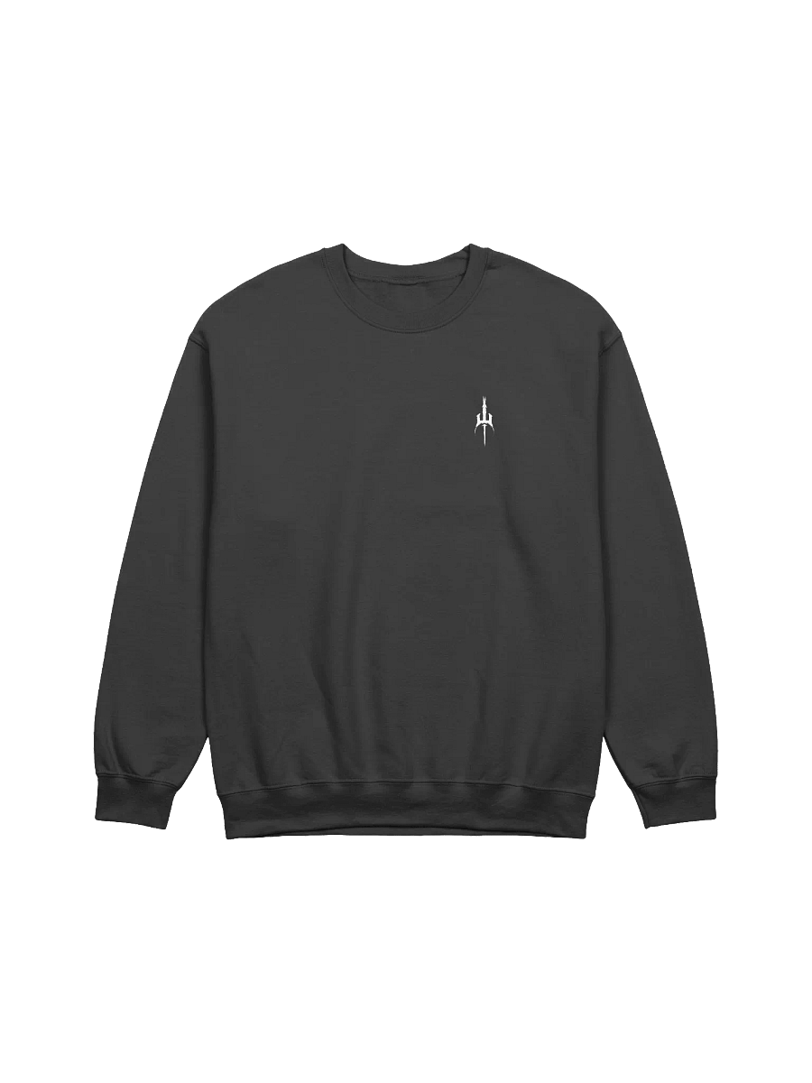 AXILON LOGO CREWNECK product image (1)