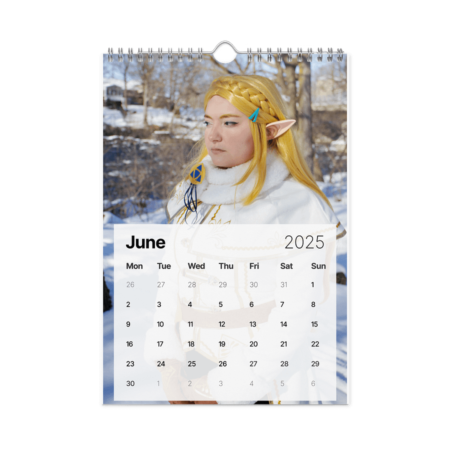 Princess Zelda (Winter Outfit) Cosplay 2025 Wall Calendar product image (8)