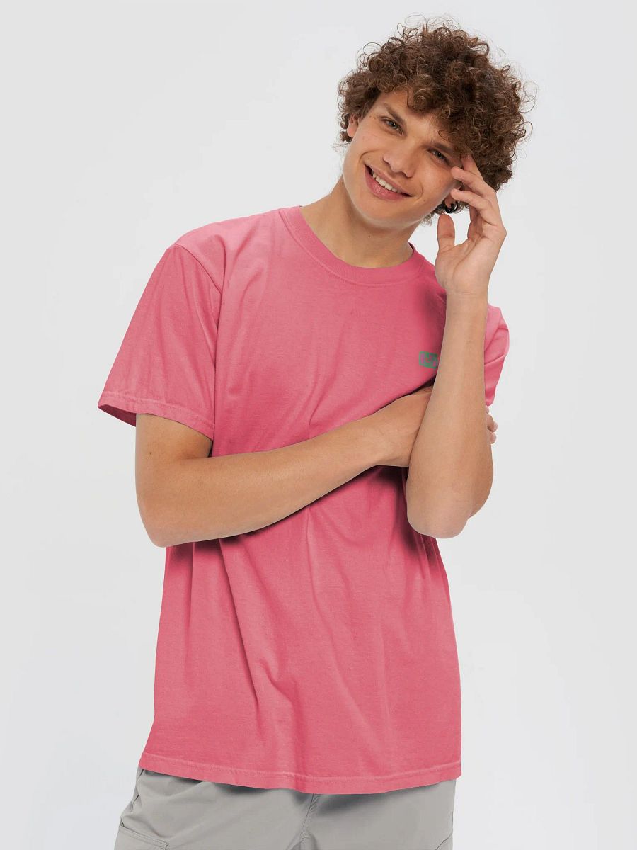 CS HeavyBlend Colorful T Shirt product image (69)