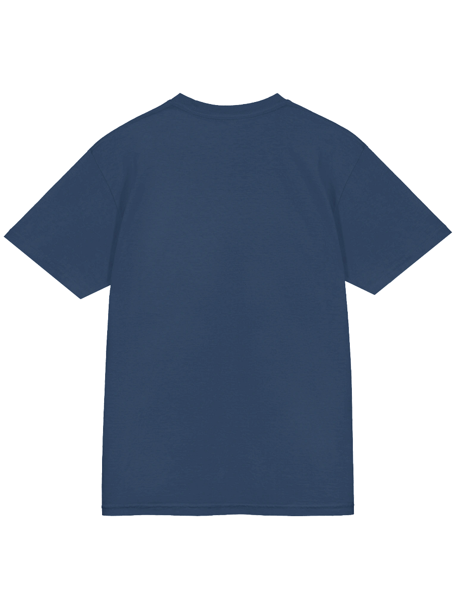 Trans Pride Skull Military T-Shirt product image (42)