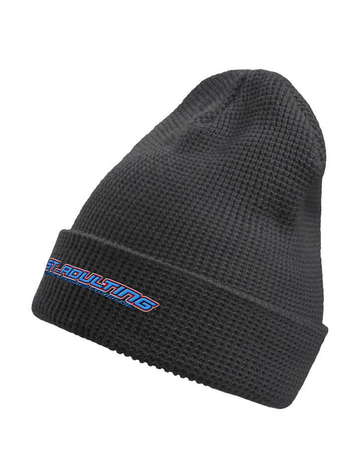 ALMOST_BEANIE product image (2)