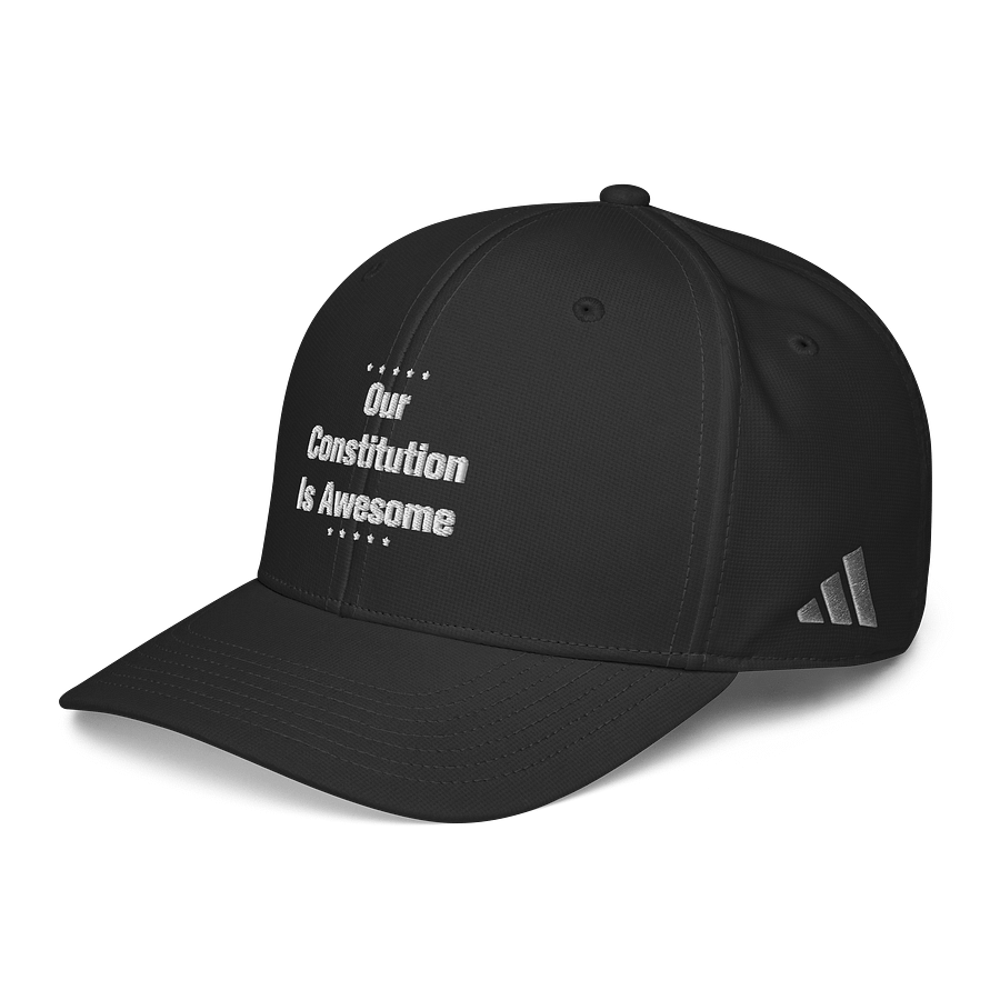 Our Constitution Is Awesome Hat product image (6)
