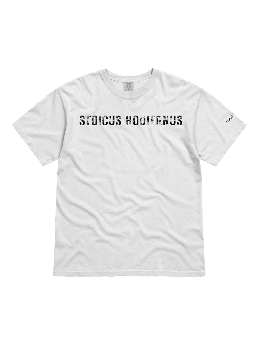Modern Stoic Tee — “Fata Viam Invenient” Edition product image (1)