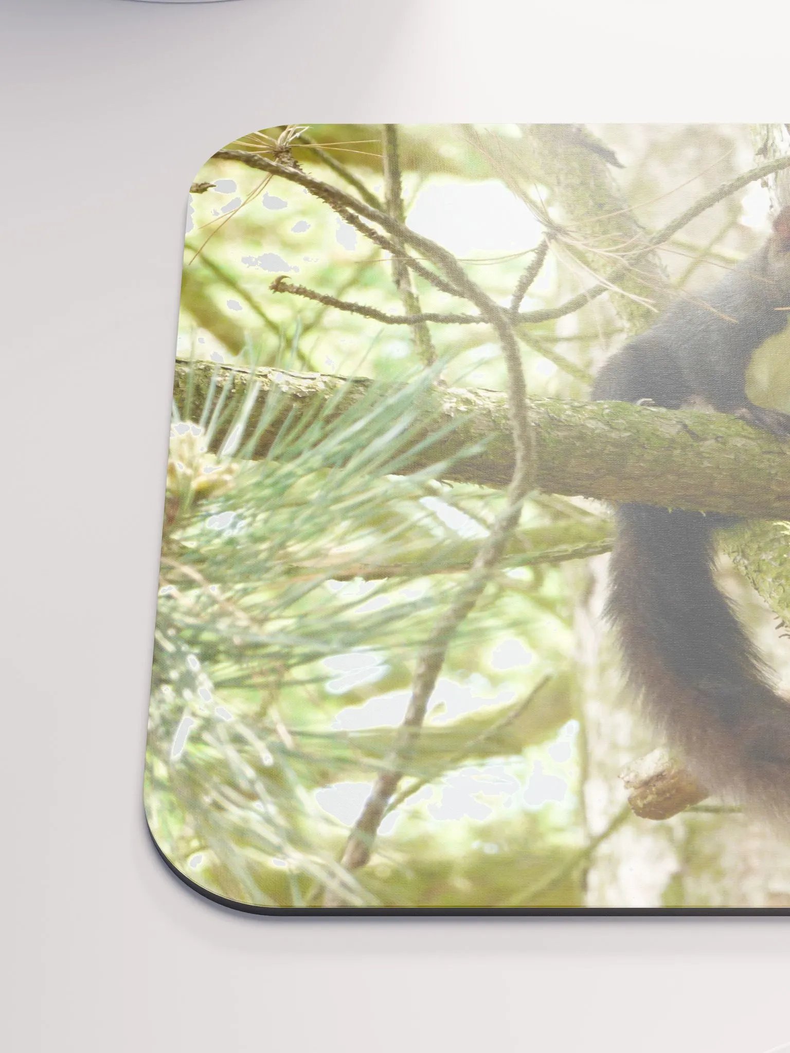 Classic Mouse Pad - The Eurasian red squirrel product image (6)