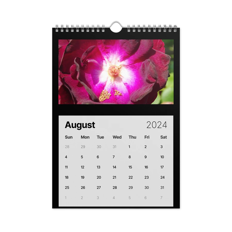 Dorn_Geek Fotos 2024 Calendar product image (3)