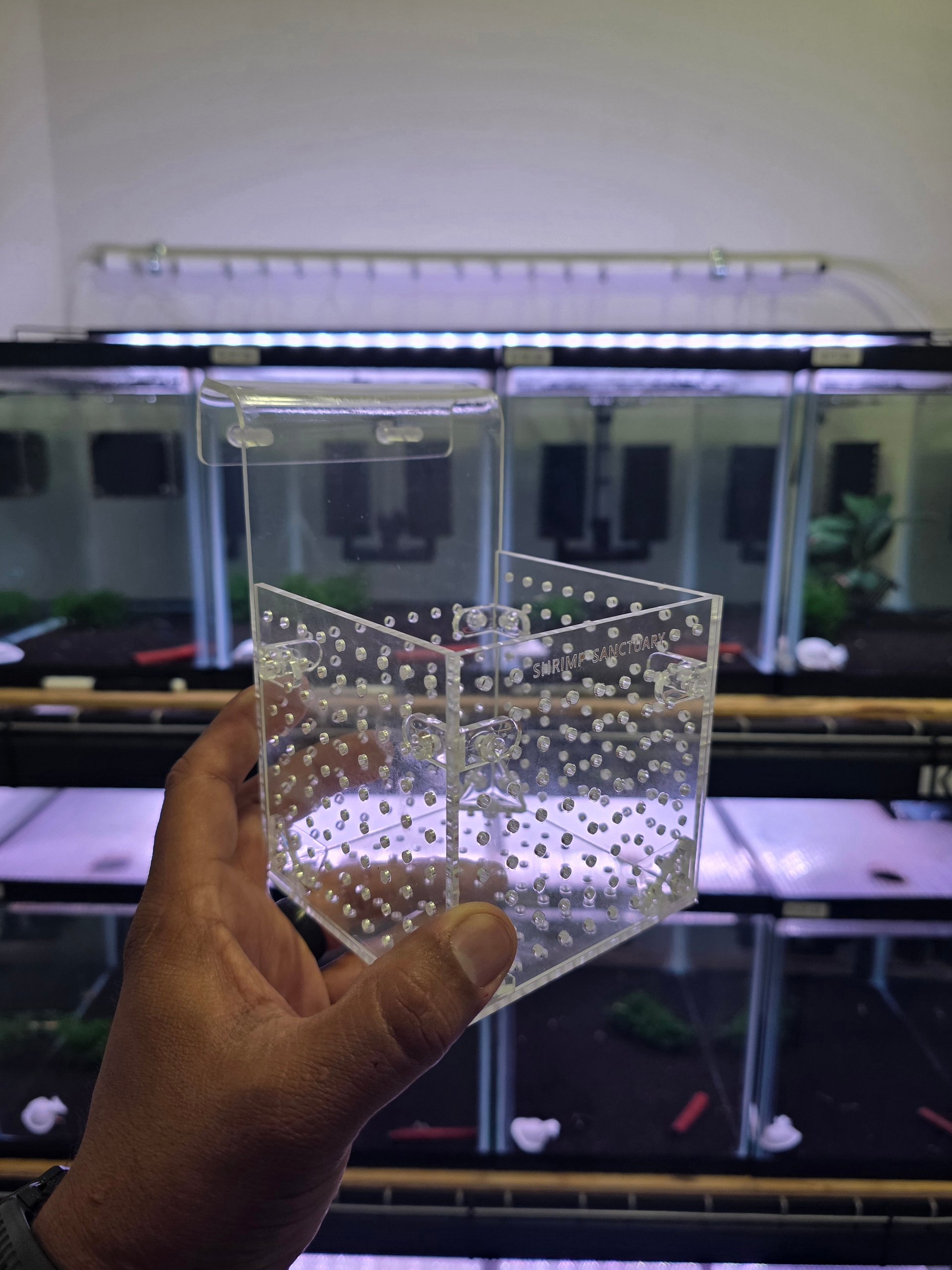 SHRIMP SANCTUARY RESET BASKET product image (2)