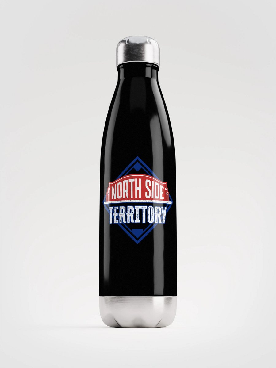 Stainless Steel Water Bottle product image (1)