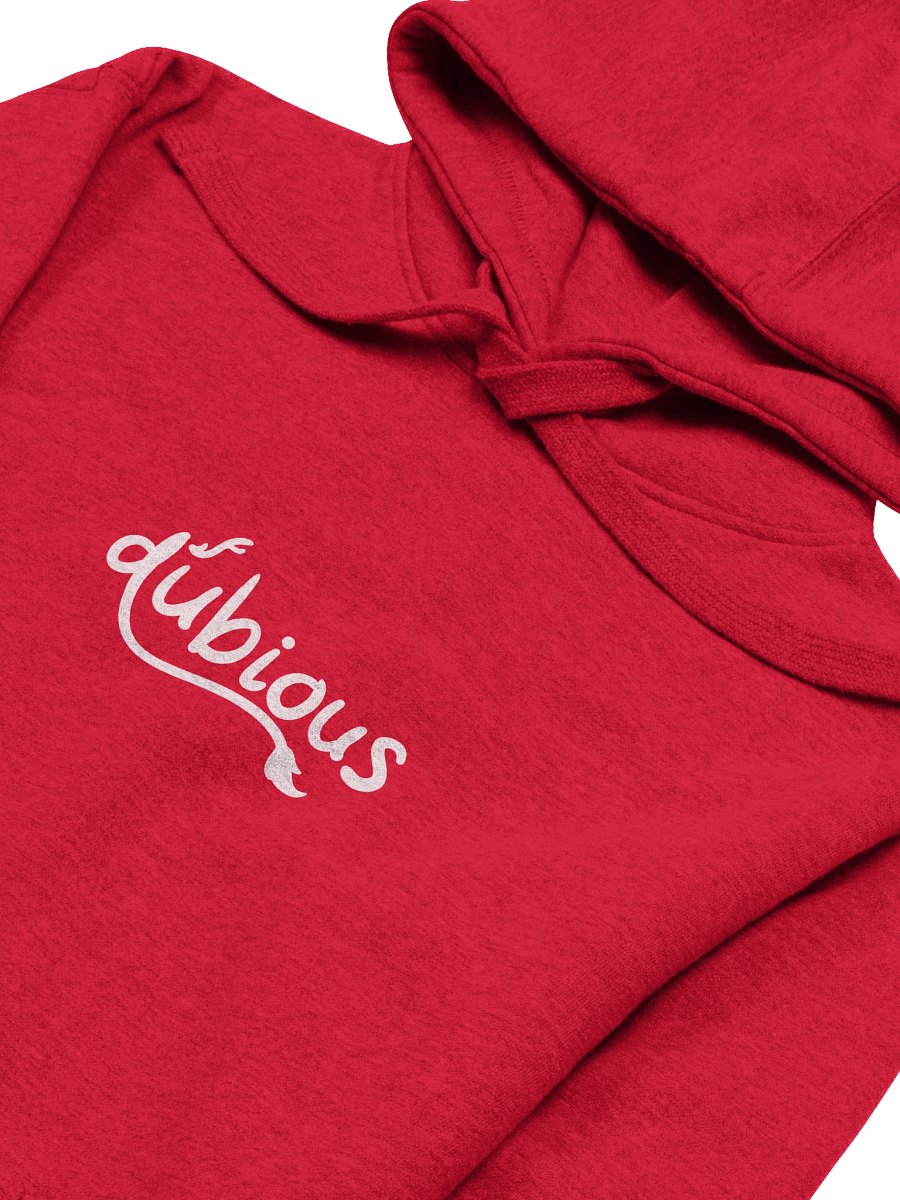 "DUBIOUS" Hoodie product image (14)