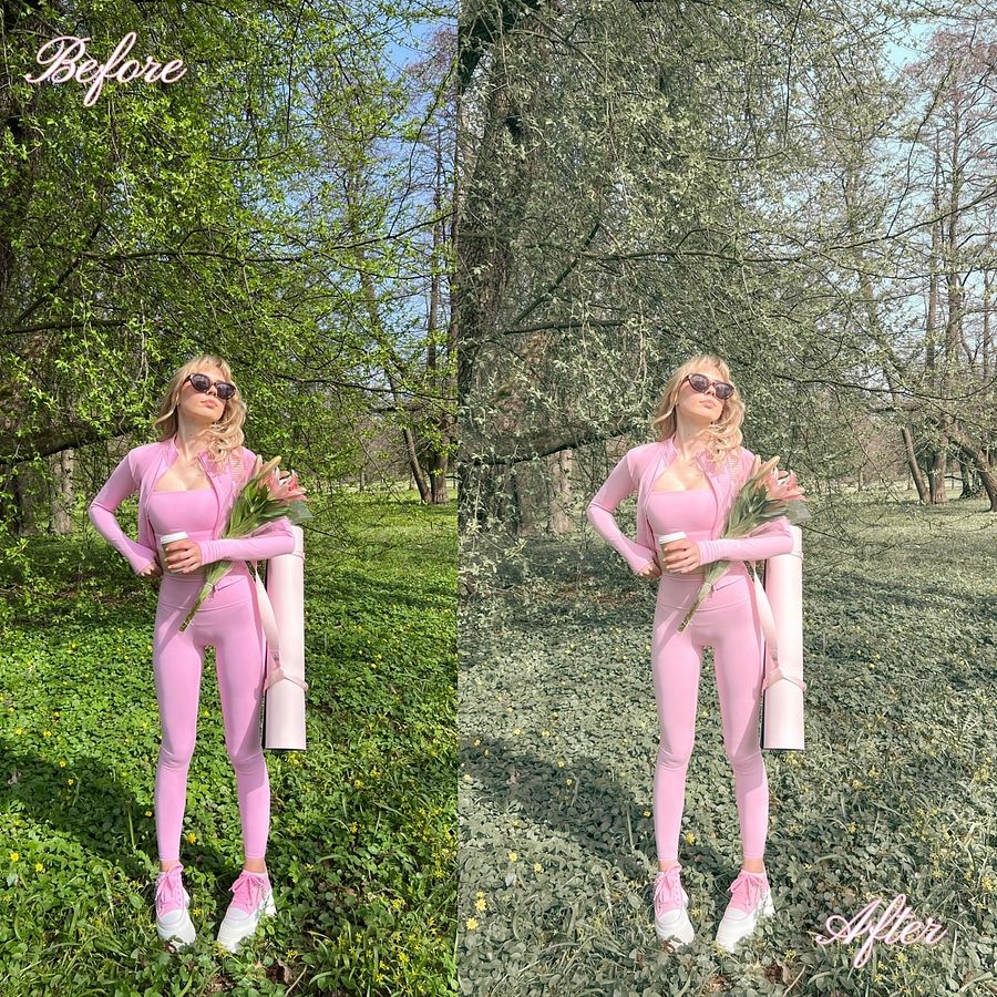 Antoinette Preset product image (4)