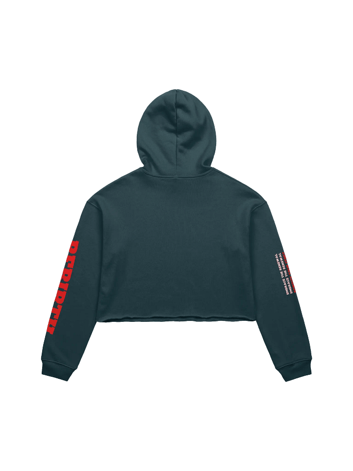 Rebirth Cropped Hoodie product image (2)